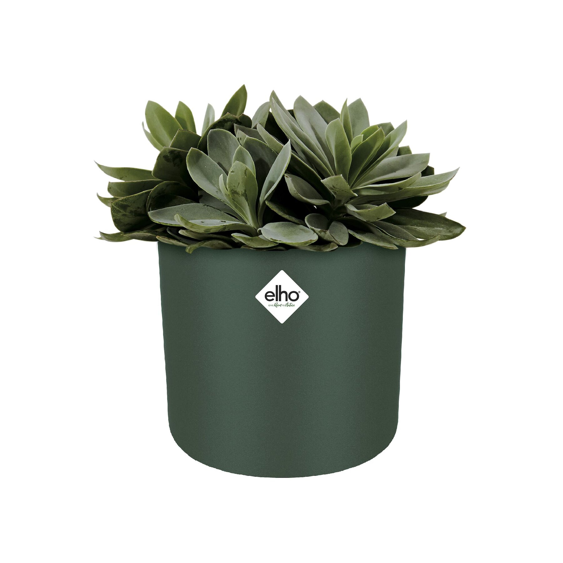 - Elho Cache-pot B for soft rond leaf green - Cache-pots