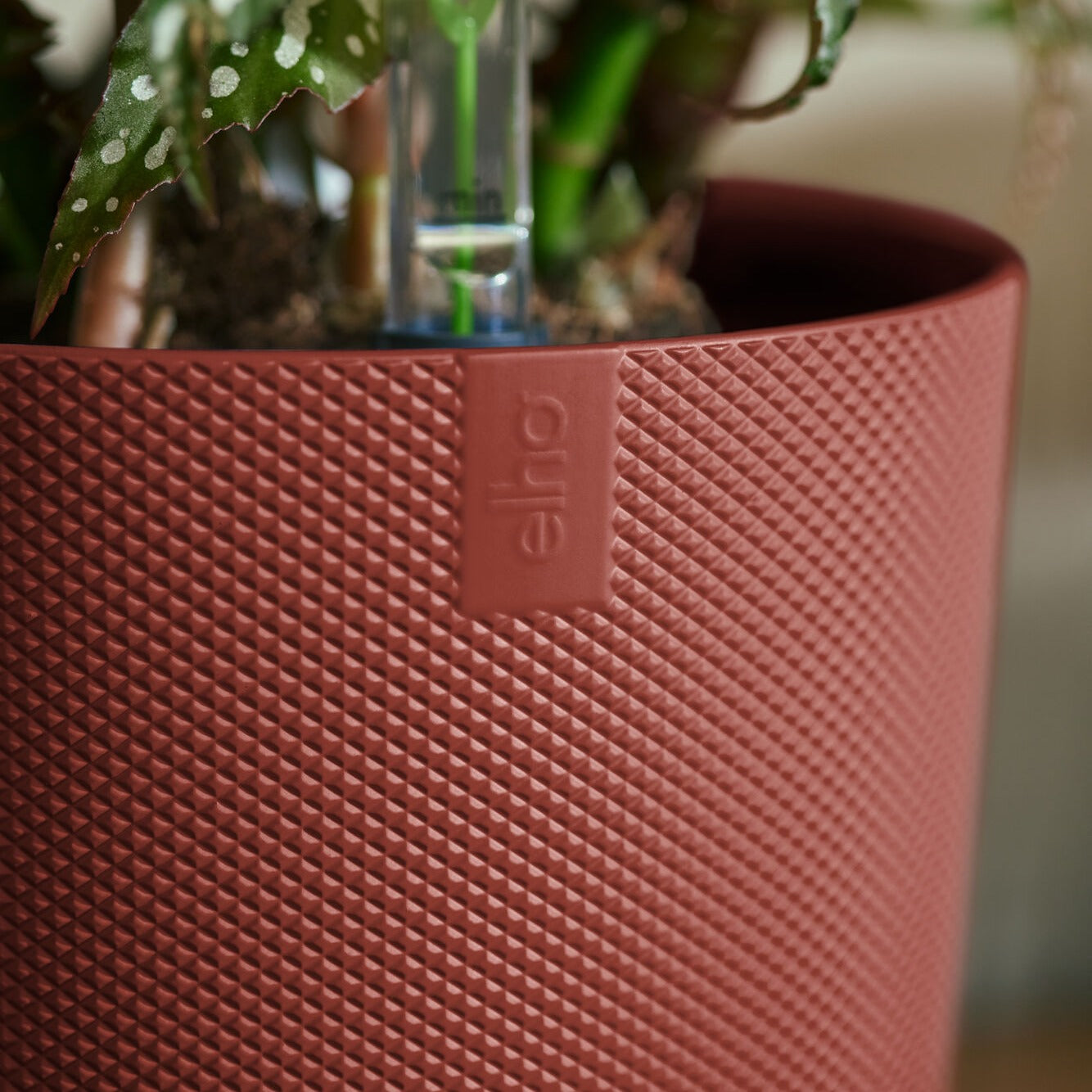 Vente Cache-pot Jazz terracotta ELHO -