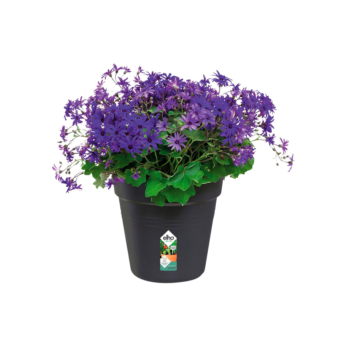 Pot de culture Green Basics Living noir - - Willemse