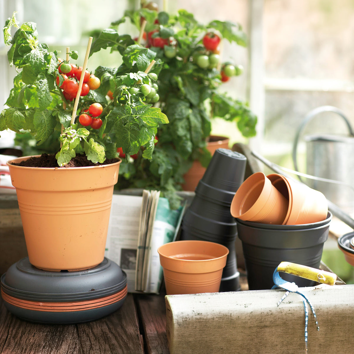 Pot de culture Green Basics Terre cuite - - Willemse