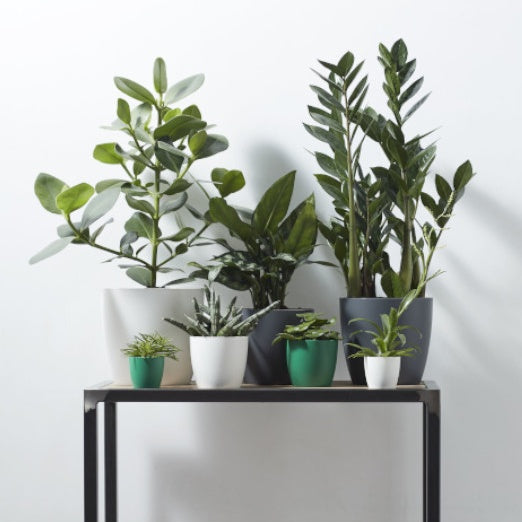 Cache-pot Brussels Round anthracite ELHO - Cache-pots - Willemse