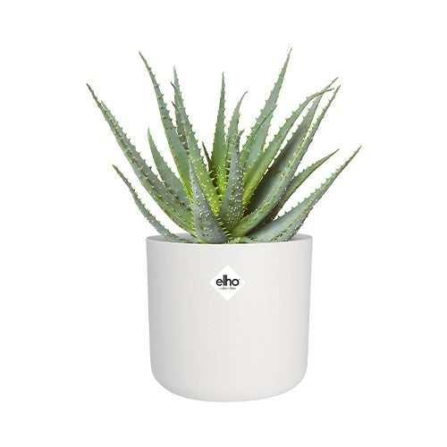 Elho Cache-pot B for soft rond blanc -  - Willemse