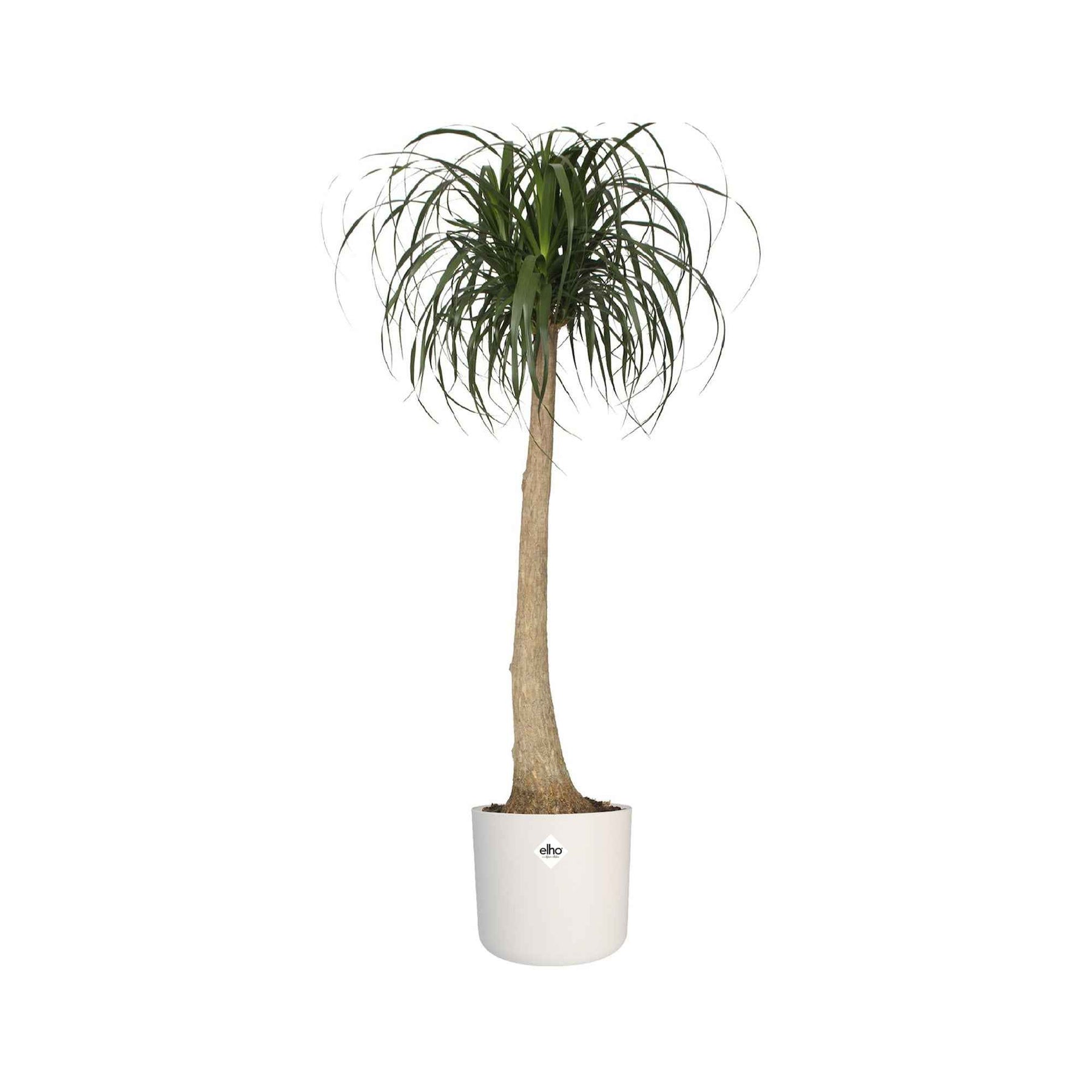 Vente Elho Cache-pot B for soft rond blanc