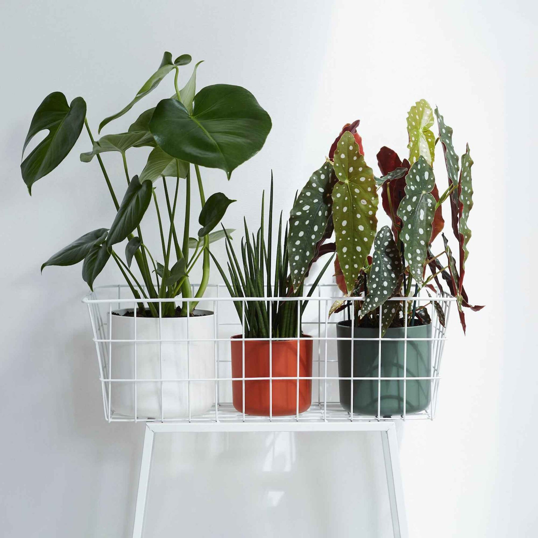 Vente Elho Cache-pot B for soft rond blanc - Cache-pots