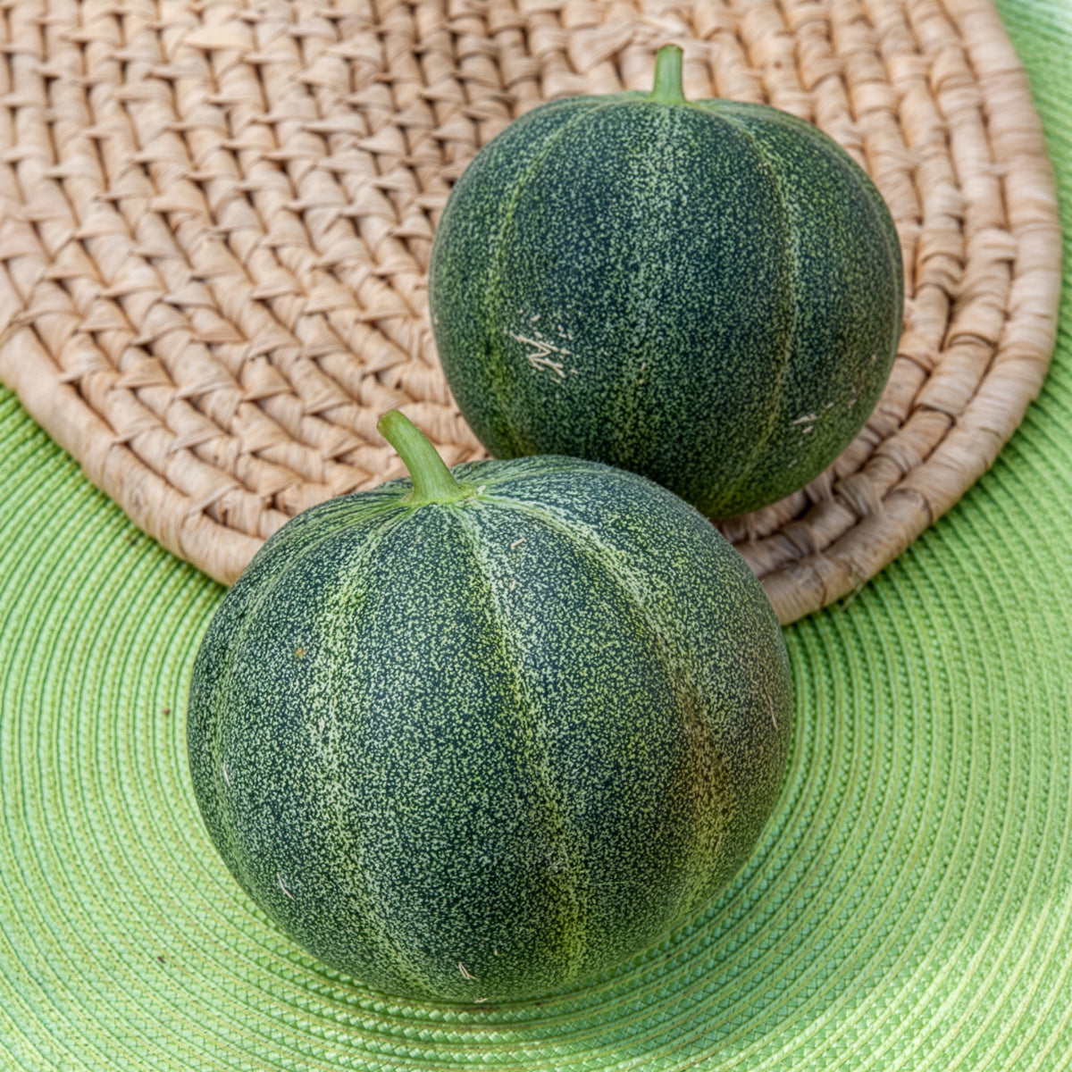 Melon Petit Gris de Rennes - Cucumis melo Petit Gris de Rennes - Willemse