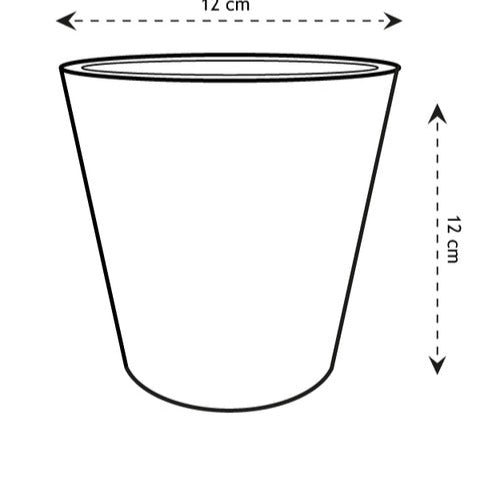 Zinc Bucket -  - Willemse