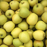 Pommier Golden Delicious - Willemse