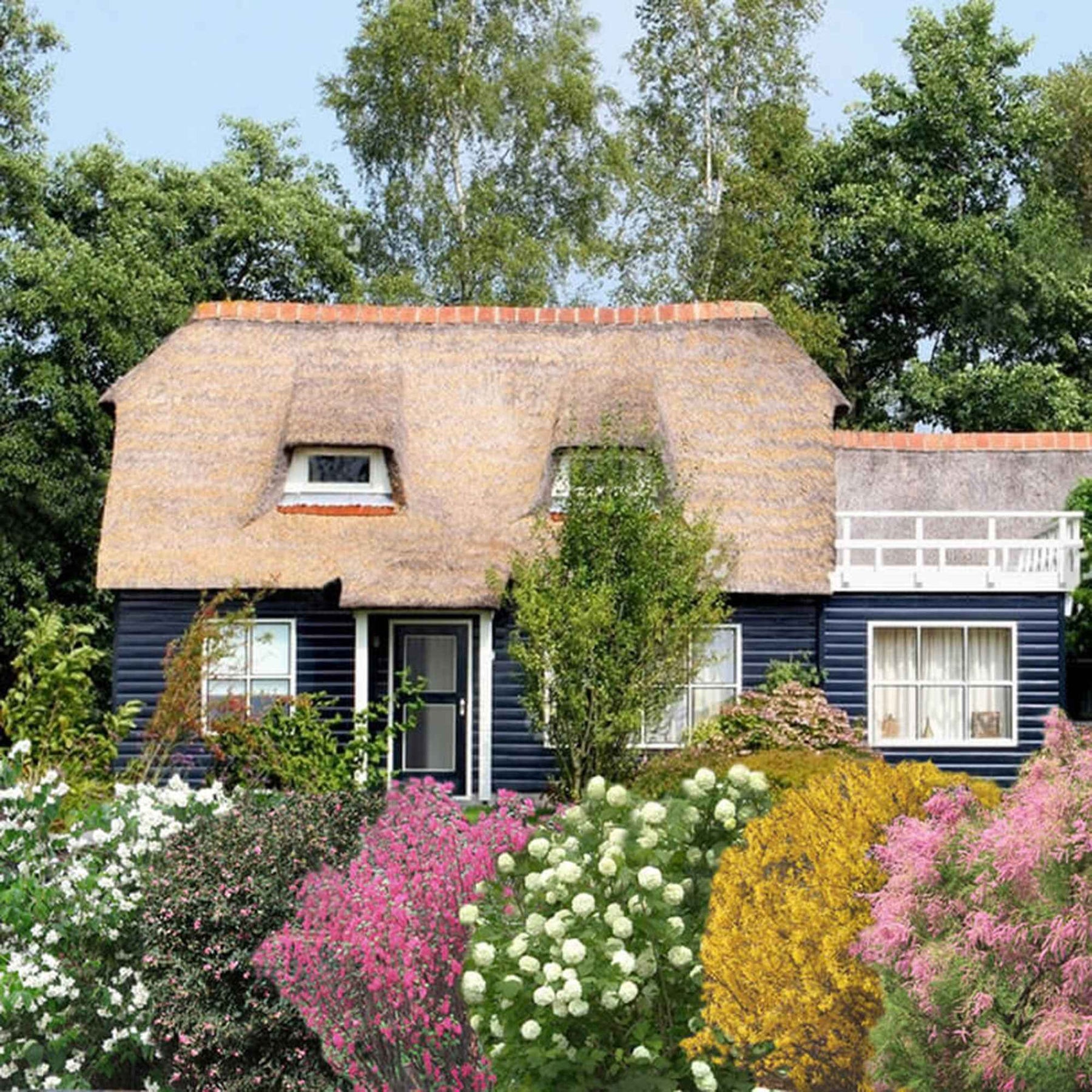 Haie des quatre saisons