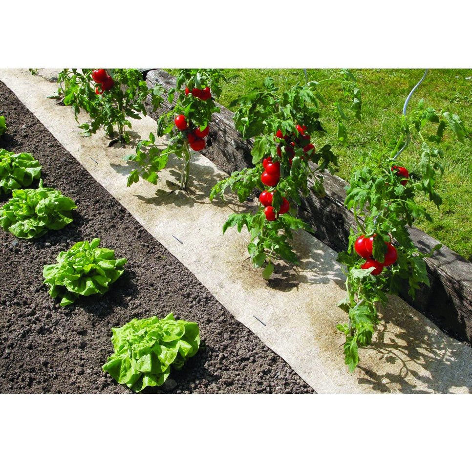 Toile de paillage naturel - - Willemse