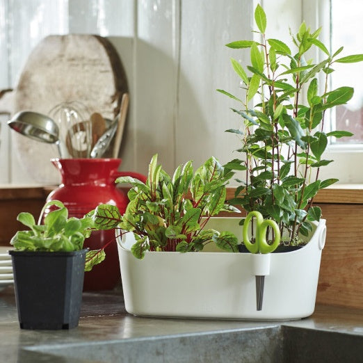 Cache-pots - Cache-pot Brussels Herbs Station blanc ELHO -