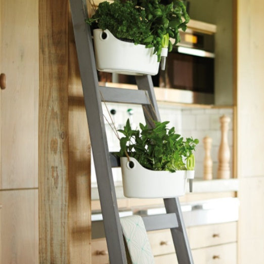 Vente Cache-pot Brussels Herbs Station blanc ELHO -