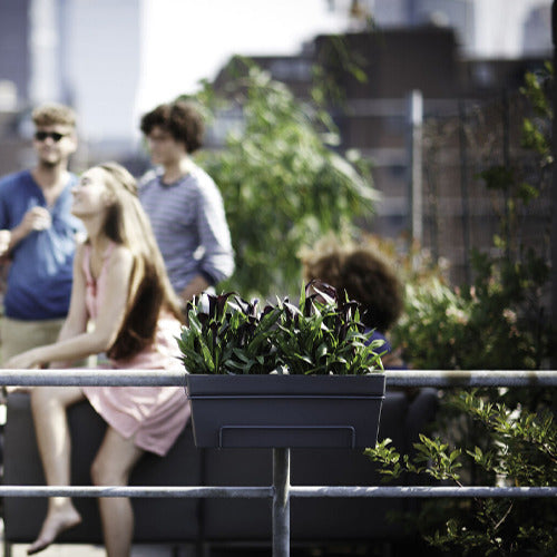 Vente Elho Balconnière Loft urban anthracite -