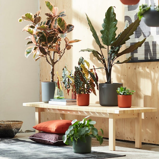 Vente Cache-pots - Elho Cache-pot B for soft rond anthracite