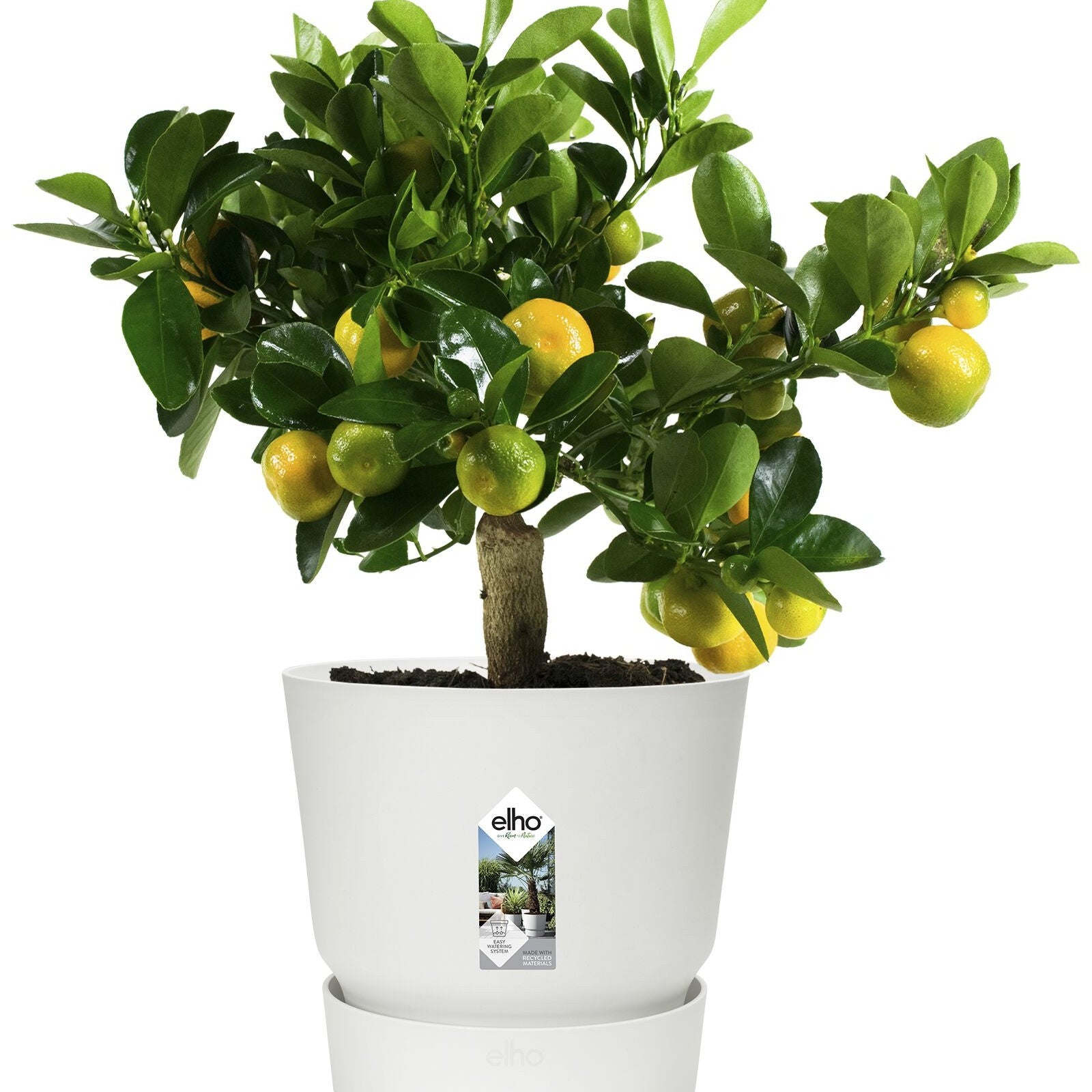 Pot de fleurs Greenville Blanc ELHO -  - Willemse