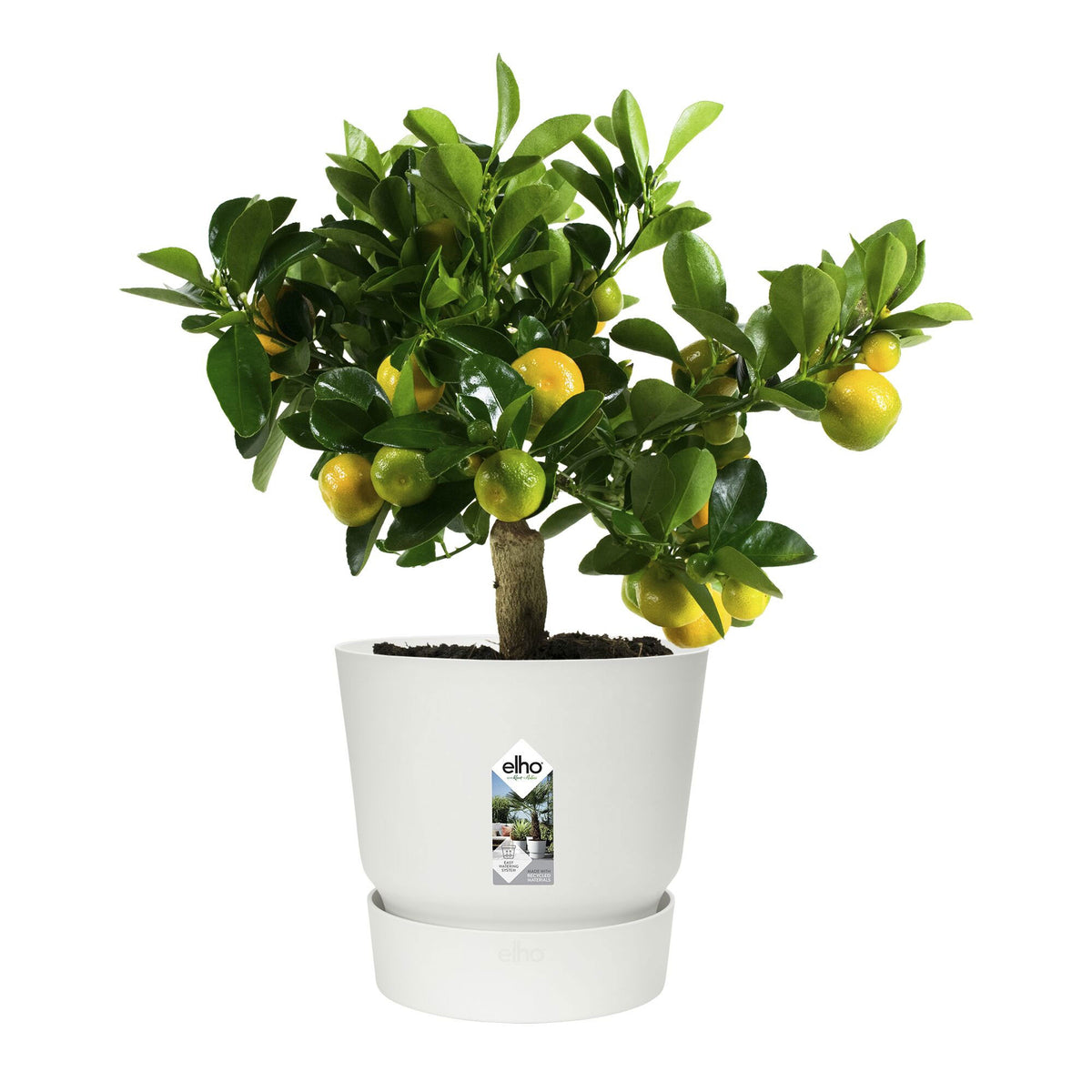 Pot de fleurs Greenville Blanc ELHO - - Willemse