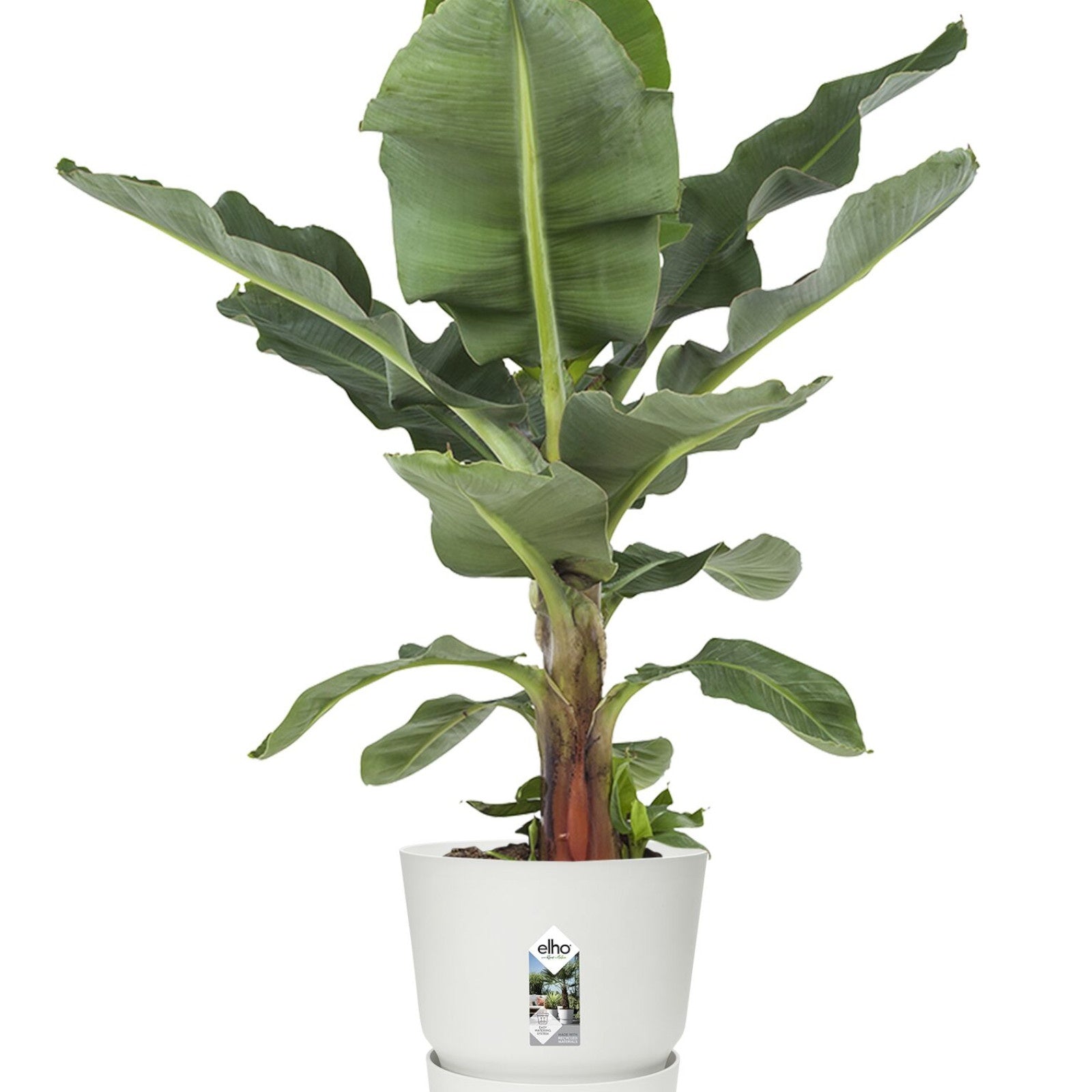 - Pot de fleurs Greenville Blanc ELHO - Pots vases suspensions et accessoires