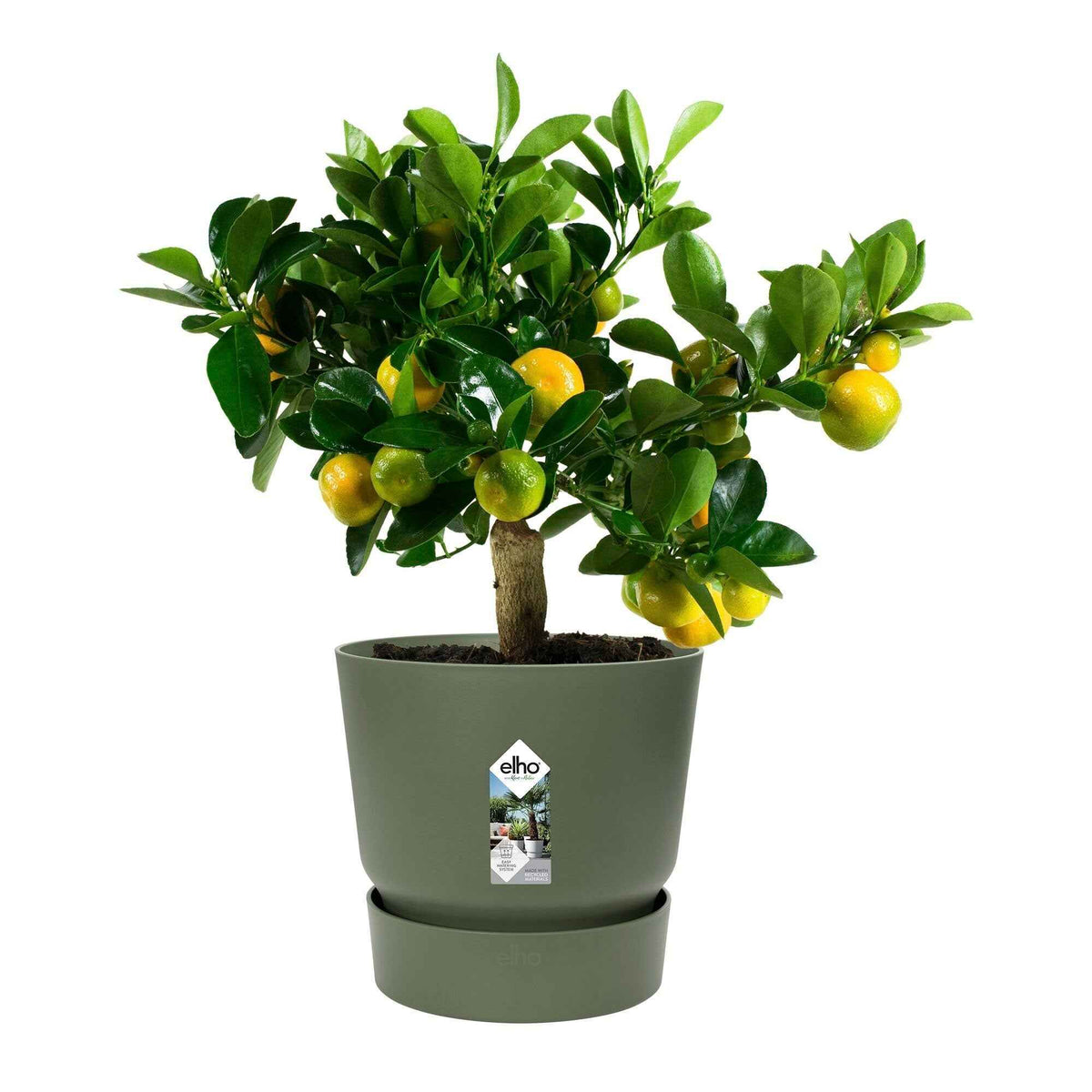 Pot de fleurs Greenville Leaf green ELHO - - Willemse