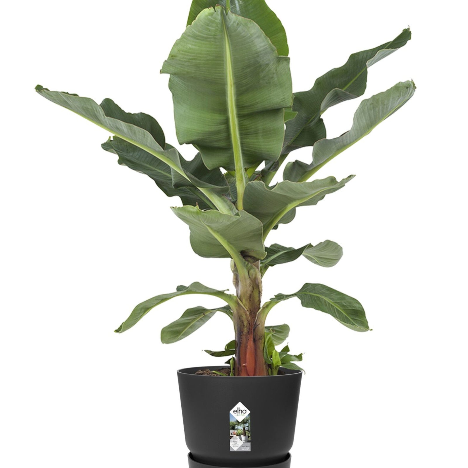Pot de fleurs Greenville Living noir ELHO -  - Willemse