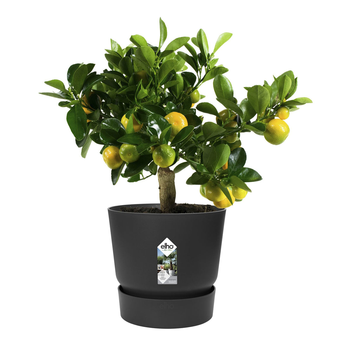 Pot de fleurs Greenville Living noir ELHO - - Willemse