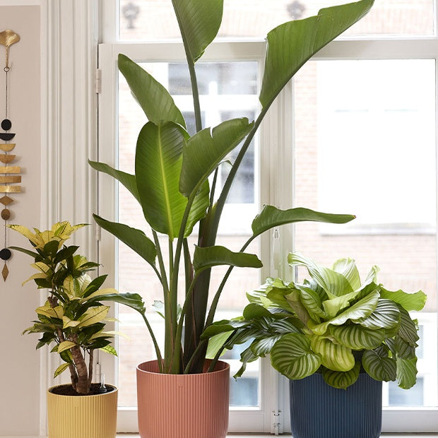 Cache-pot Vibes fold Bleu foncé ELHO -  - Willemse