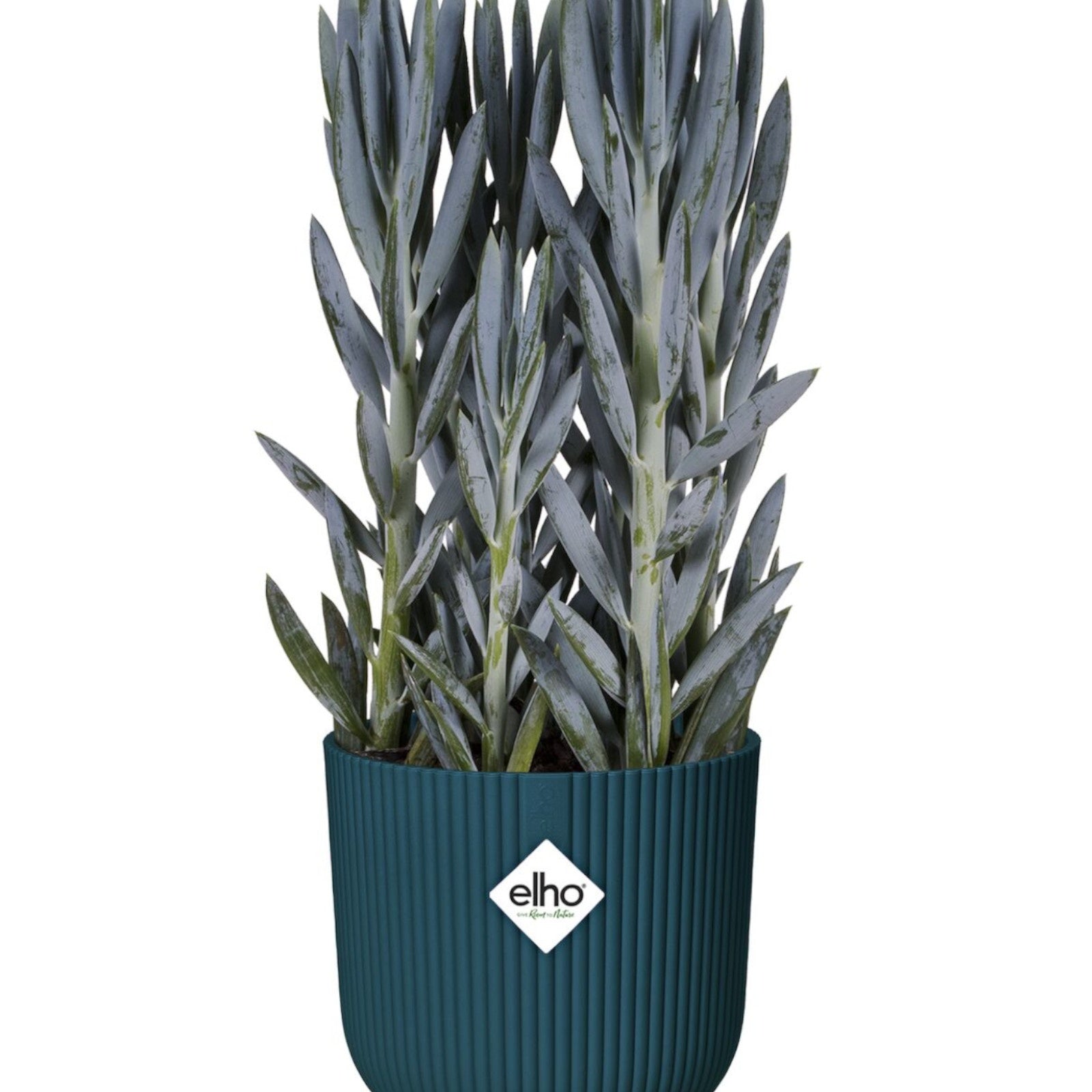 Cache-pots - Cache-pot Vibes fold Bleu foncé ELHO -