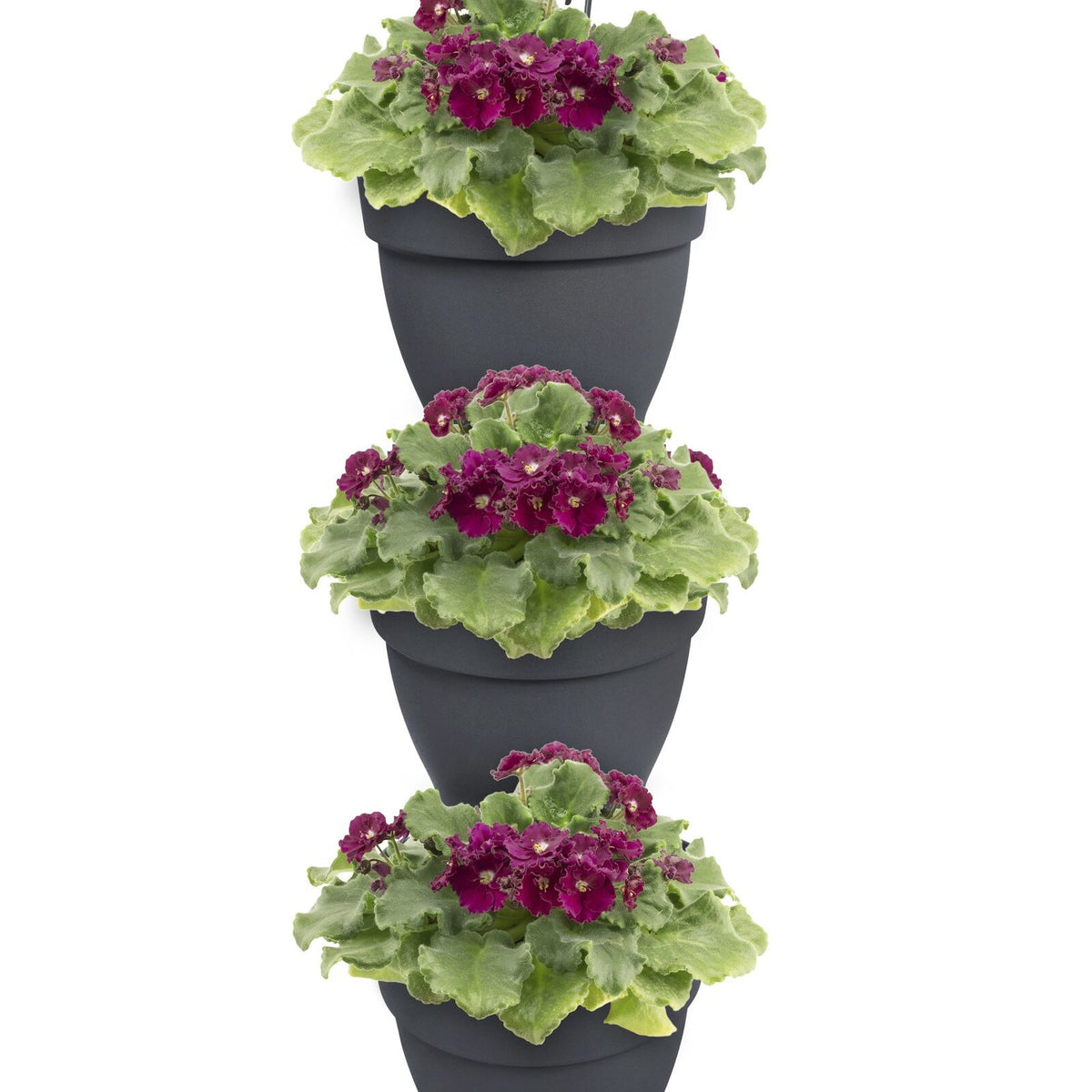 3 Pots de fleurs Vibia campana forêt Anthracite ELHO - - Willemse