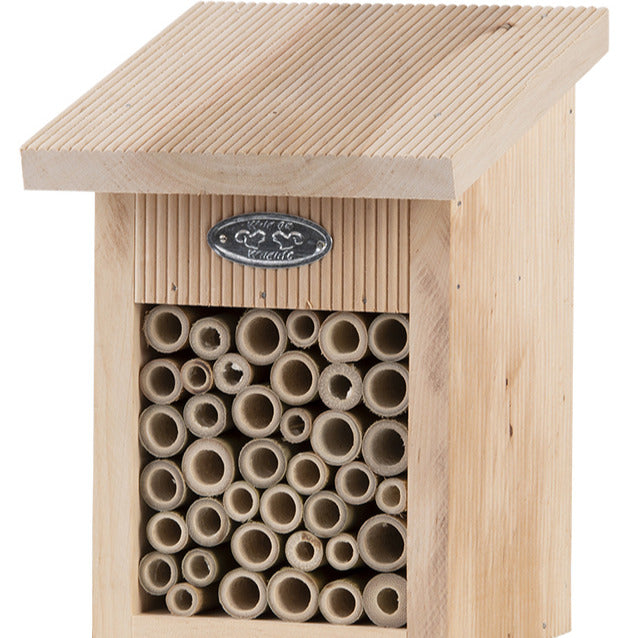 Abri pour abeilles en bois naturel - Willemse