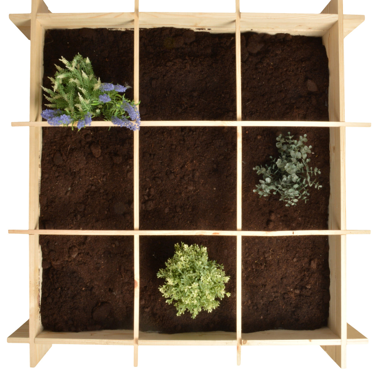 Carré potager en bois de Pin FSC -  - Willemse