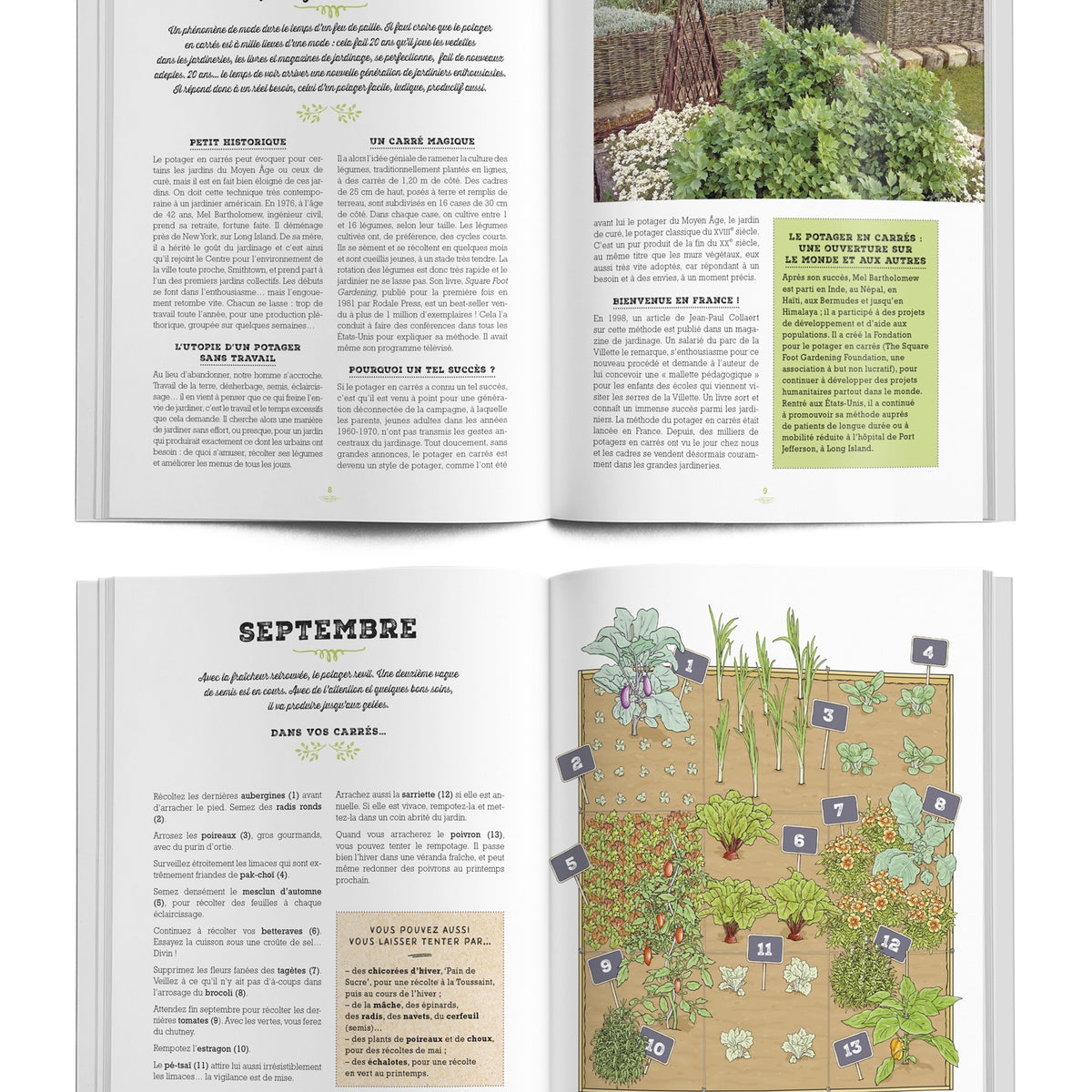 Mon carré potager au fil des mois -  - Willemse