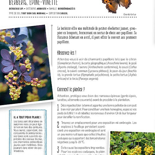 Faites entrer la biodiversité dans votre jardin - - Willemse