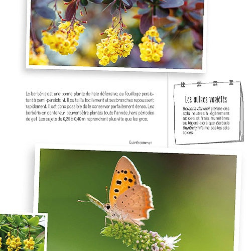 - Faites entrer la biodiversité dans votre jardin - Livres de jardinage