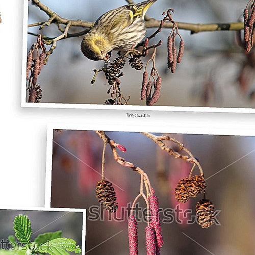 Vente Faites entrer la biodiversité dans votre jardin -