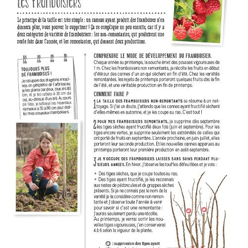 Taillez vos arbres et vos arbustes -  - Willemse
