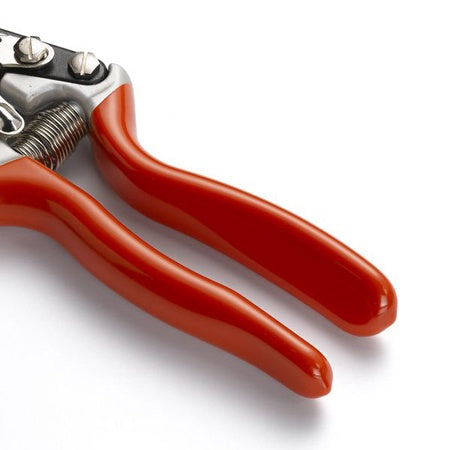 - Sécateur coupe franche 30 mm WOLF - Outillage à main