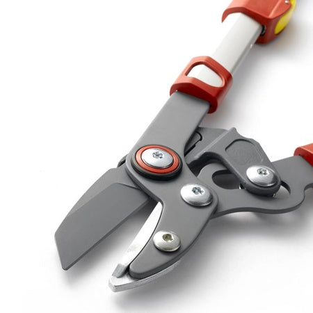 Elagueur premium télescopique enclume 50 mm WOLF -  - Willemse