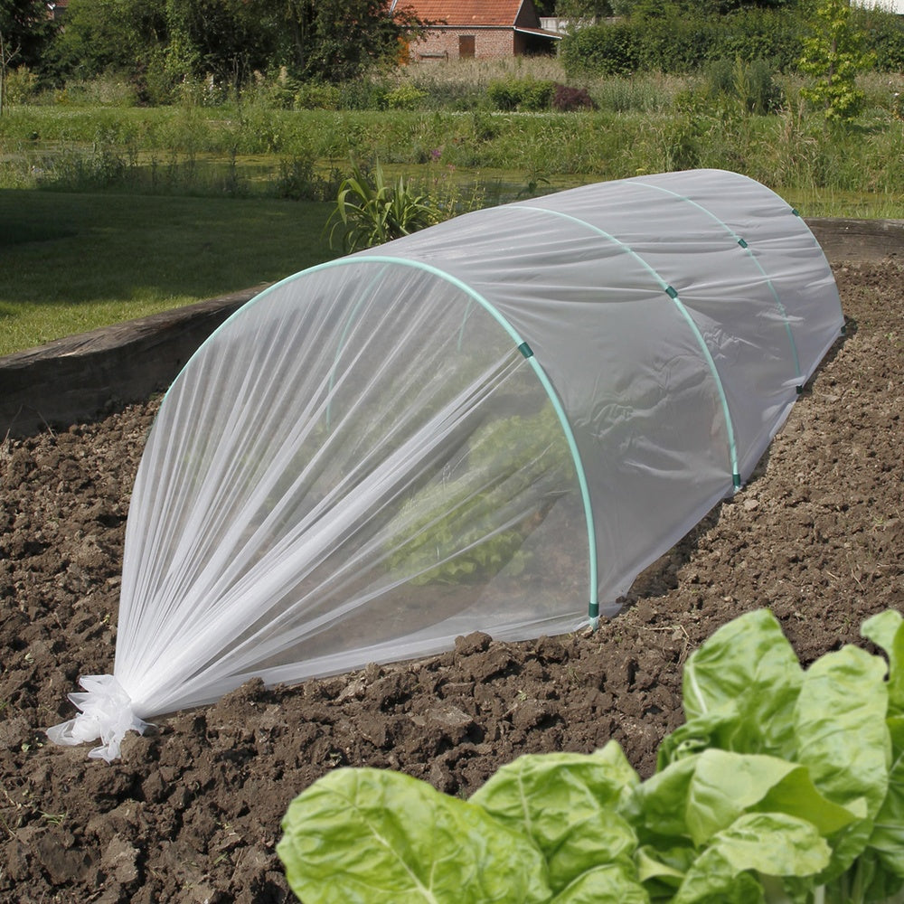 Film de forçage anti-insectes - - Willemse