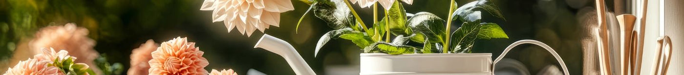 Balcon fleuri en automne
