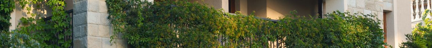 Balcon : plantes brise-vue