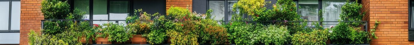 Balcon type jungle