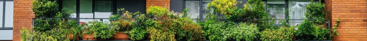 Balcon type jungle