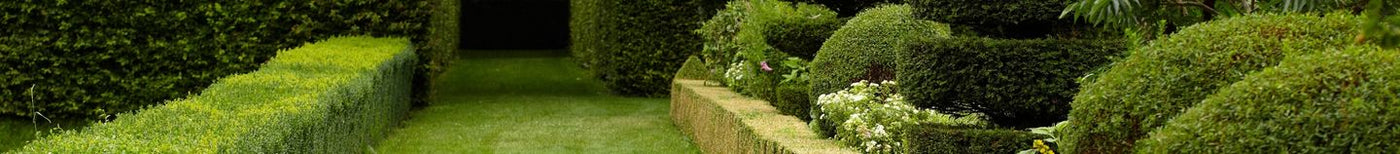 Jardin à la française