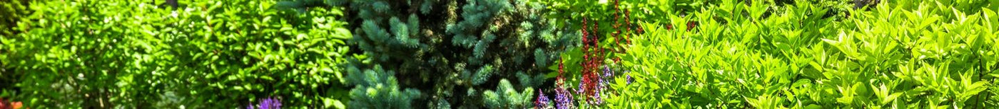 Jardin de campagne