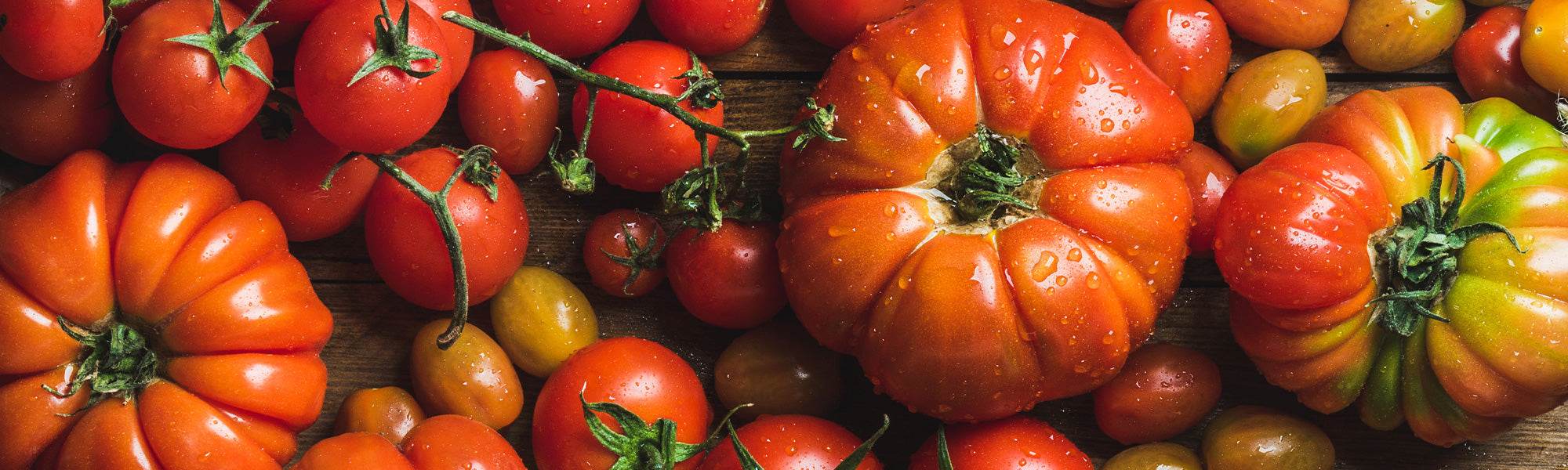 Tomates anciennes