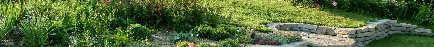 Jardin en pente
