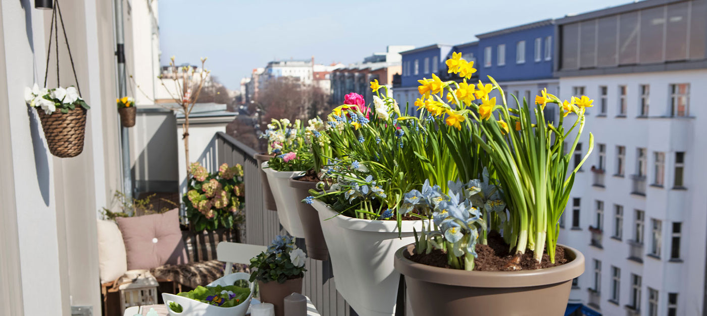 Balcon fleuri au printemps