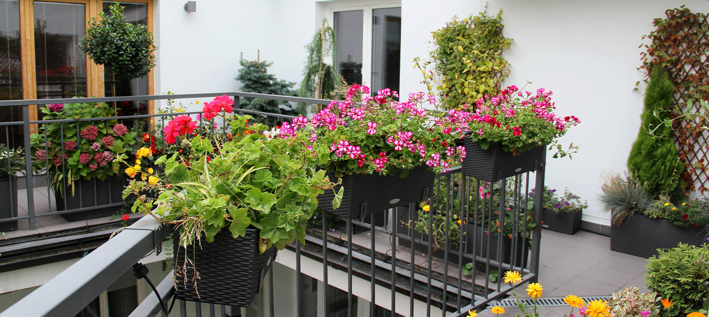 Balcon parfumé