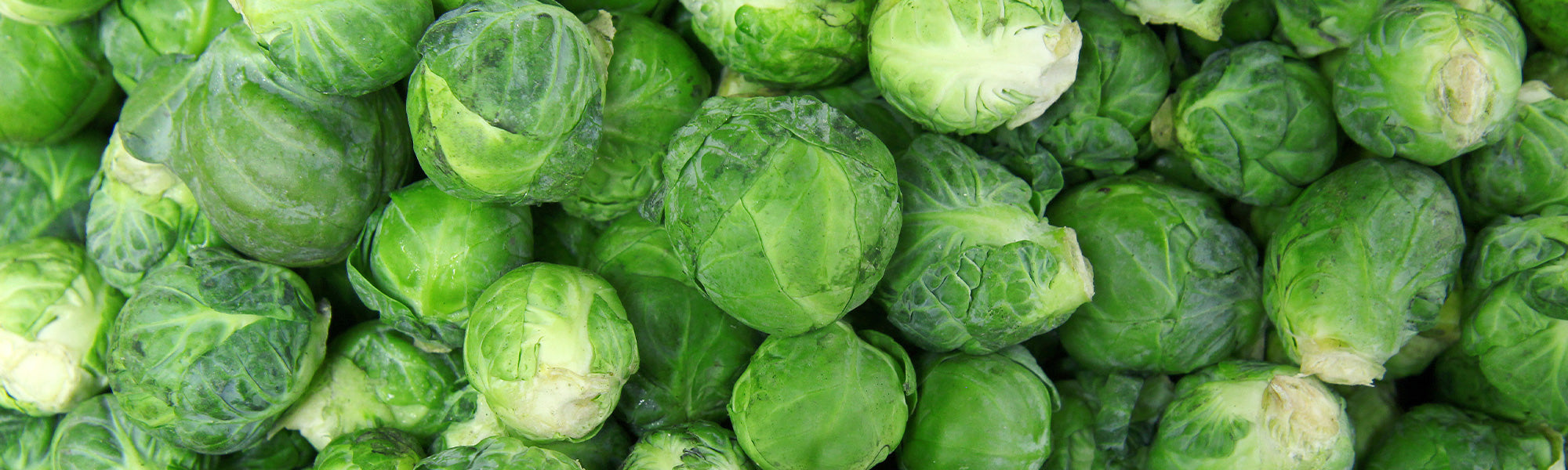 Choux de Bruxelles