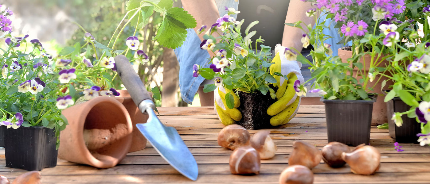 Jardin fleuri selon les saisons