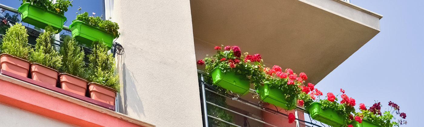 Le balcon