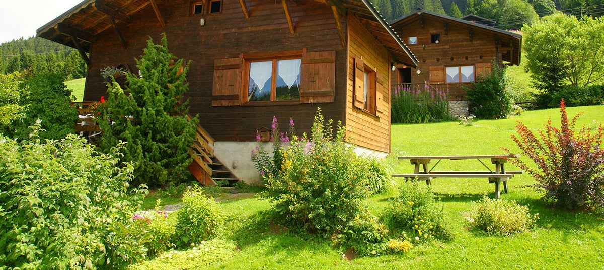 Plantes pour climat montagnard
